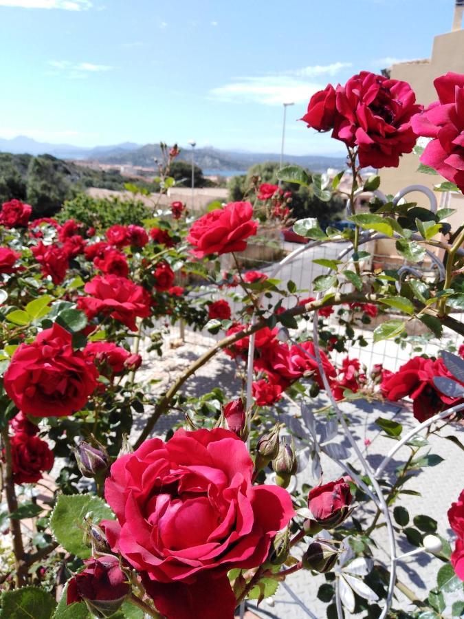 Bed and Breakfast The Roses Garden Ла-Маддалена Экстерьер фото