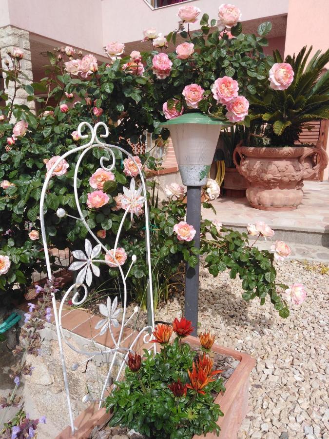 Bed and Breakfast The Roses Garden Ла-Маддалена Экстерьер фото