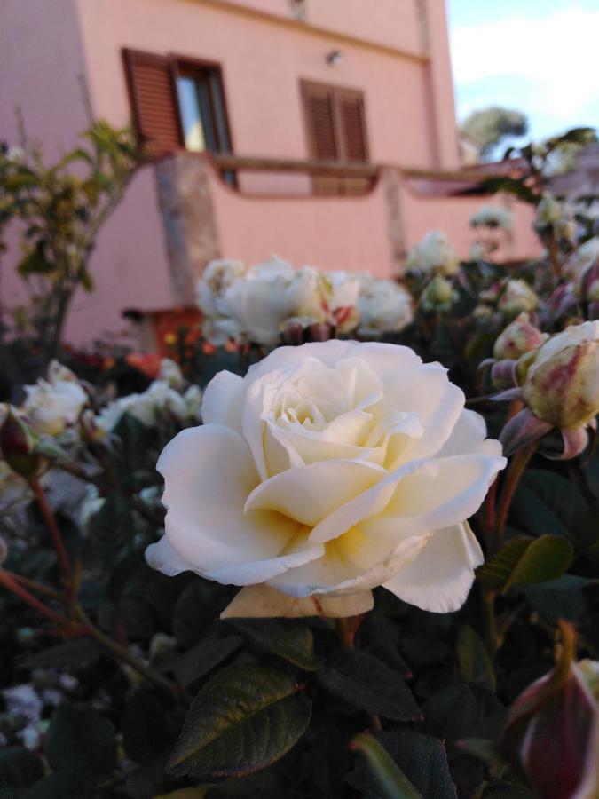 Bed and Breakfast The Roses Garden Ла-Маддалена Экстерьер фото