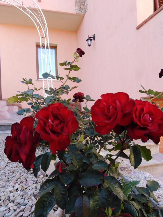 Bed and Breakfast The Roses Garden Ла-Маддалена Экстерьер фото